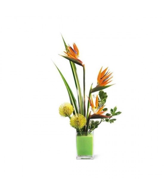 The Tropical Bright Arrangement